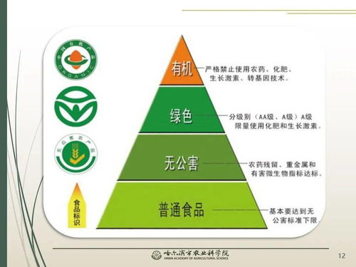 党建引领科技赋能 智慧农业绘就春耕新图景