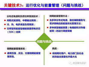 分布式能源智能微网技术与发展报告